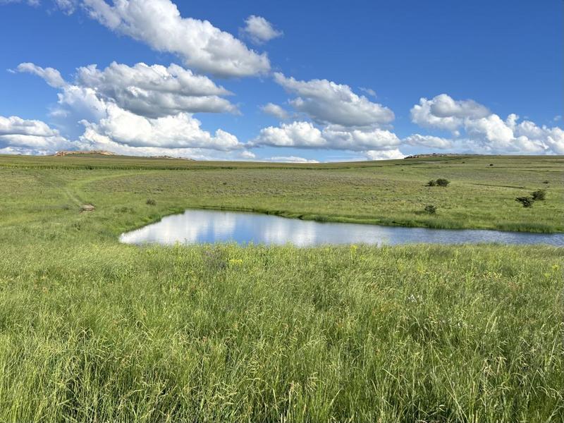 0 Bedroom Property for Sale in Bethlehem Rural Free State